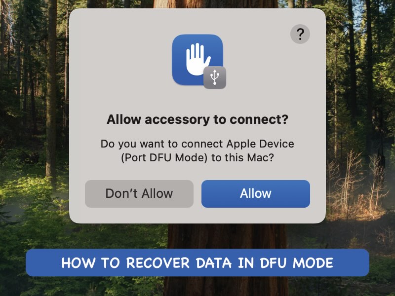 recover data from iphone dfu mode