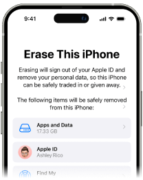 Elimina el iPhone bloqueado por el propietario