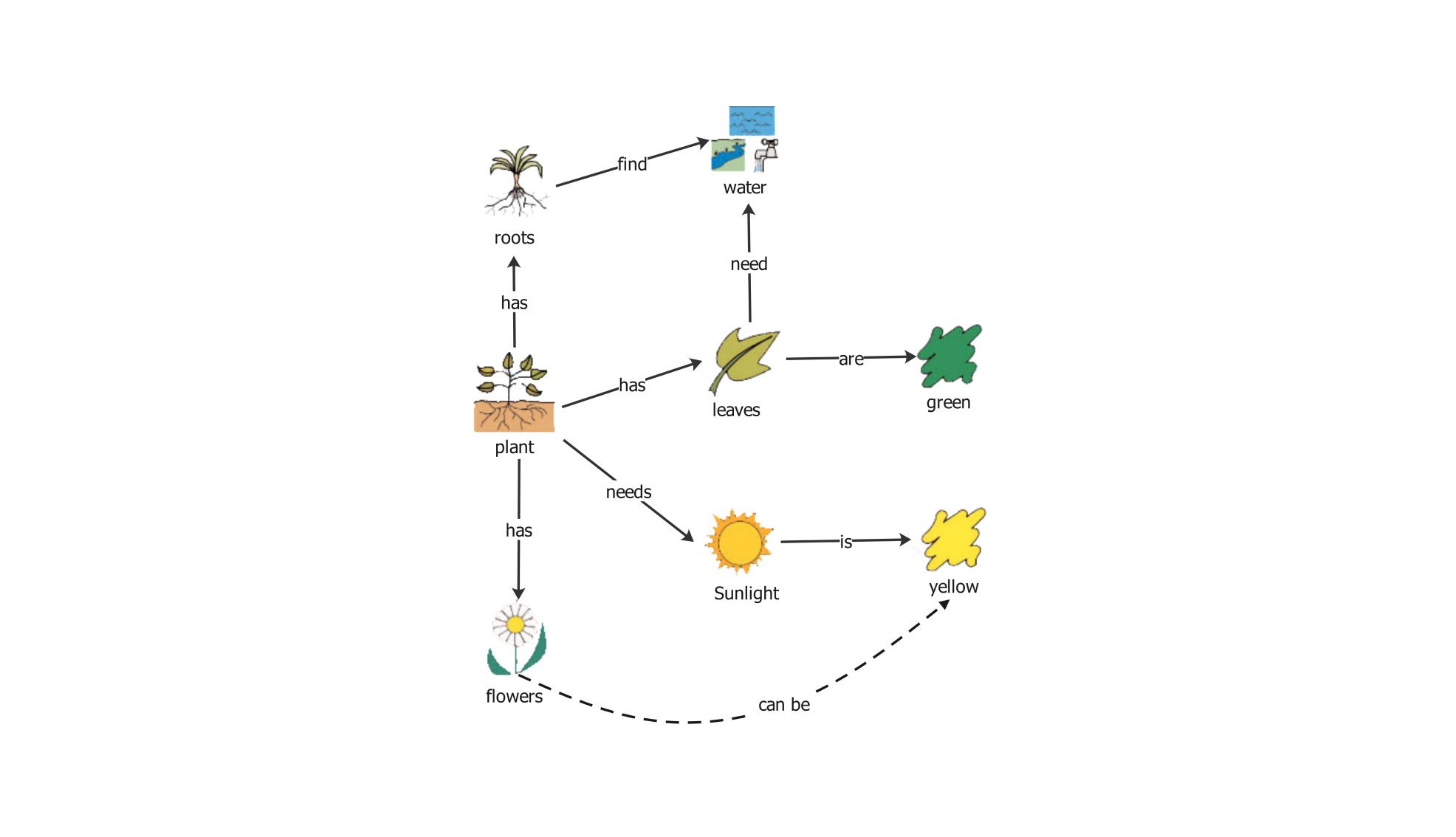 basic plant biology concept map example