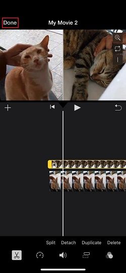 exporta y comparte tu vídeo