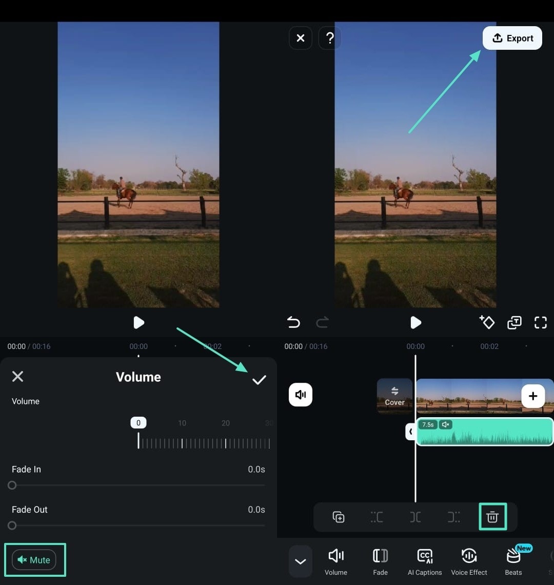 mute video and export results