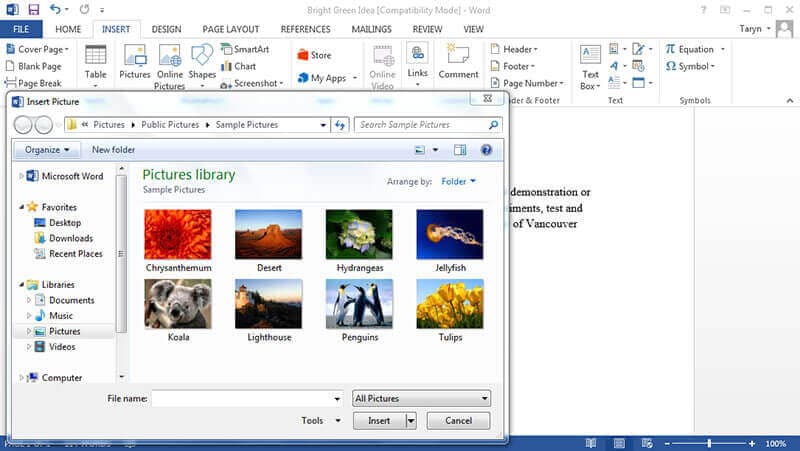 comment créer une image miroir dans word