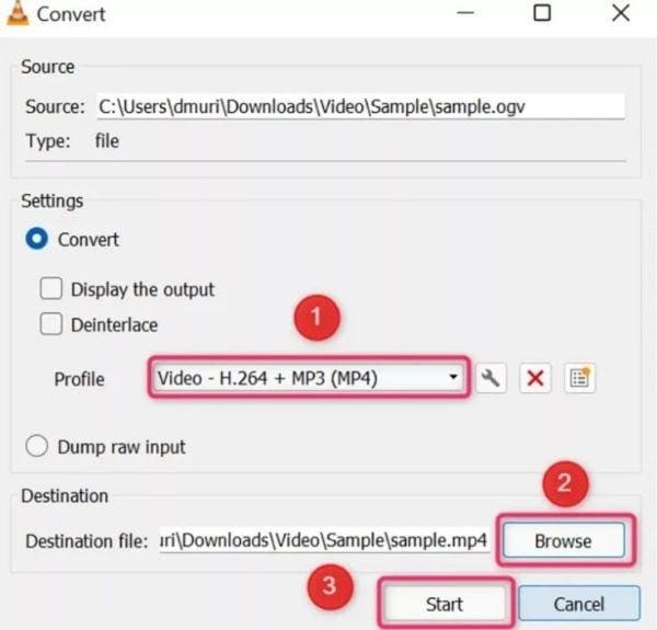 convert the file