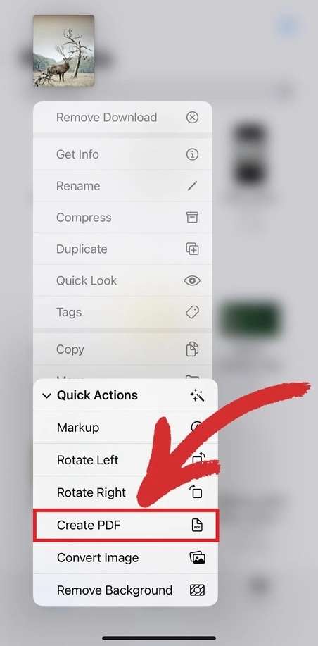 how to convert picture to pdf iphone