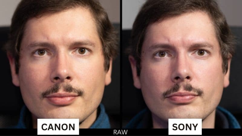 format vidéo raw sony vs canon