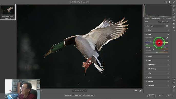 adobe camera raw tool