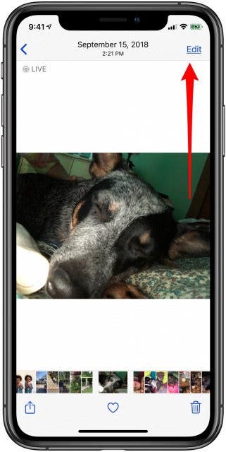 appuyez sur éditer pour débuter l'édition de la longueur de la photo en direct